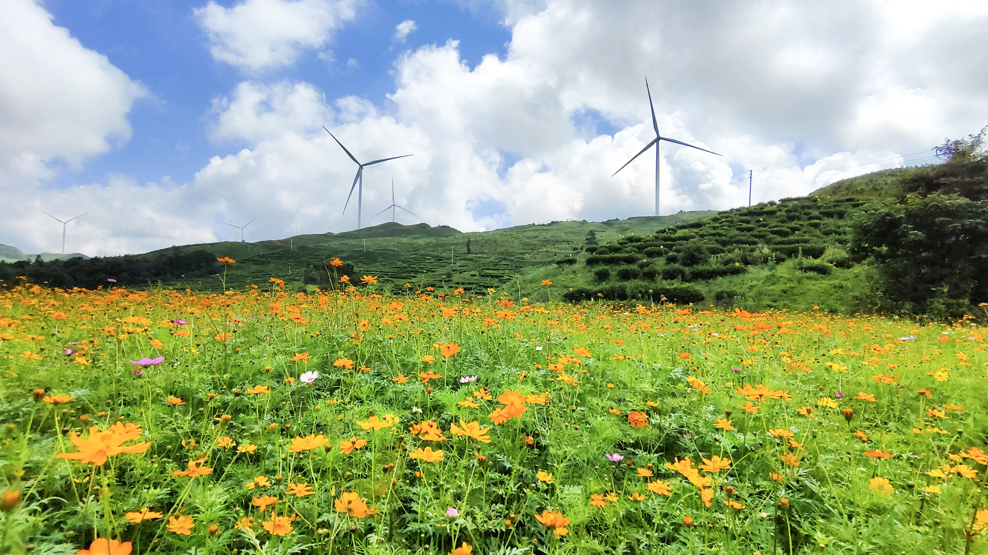 人生就是搏·(中国区)官方网站