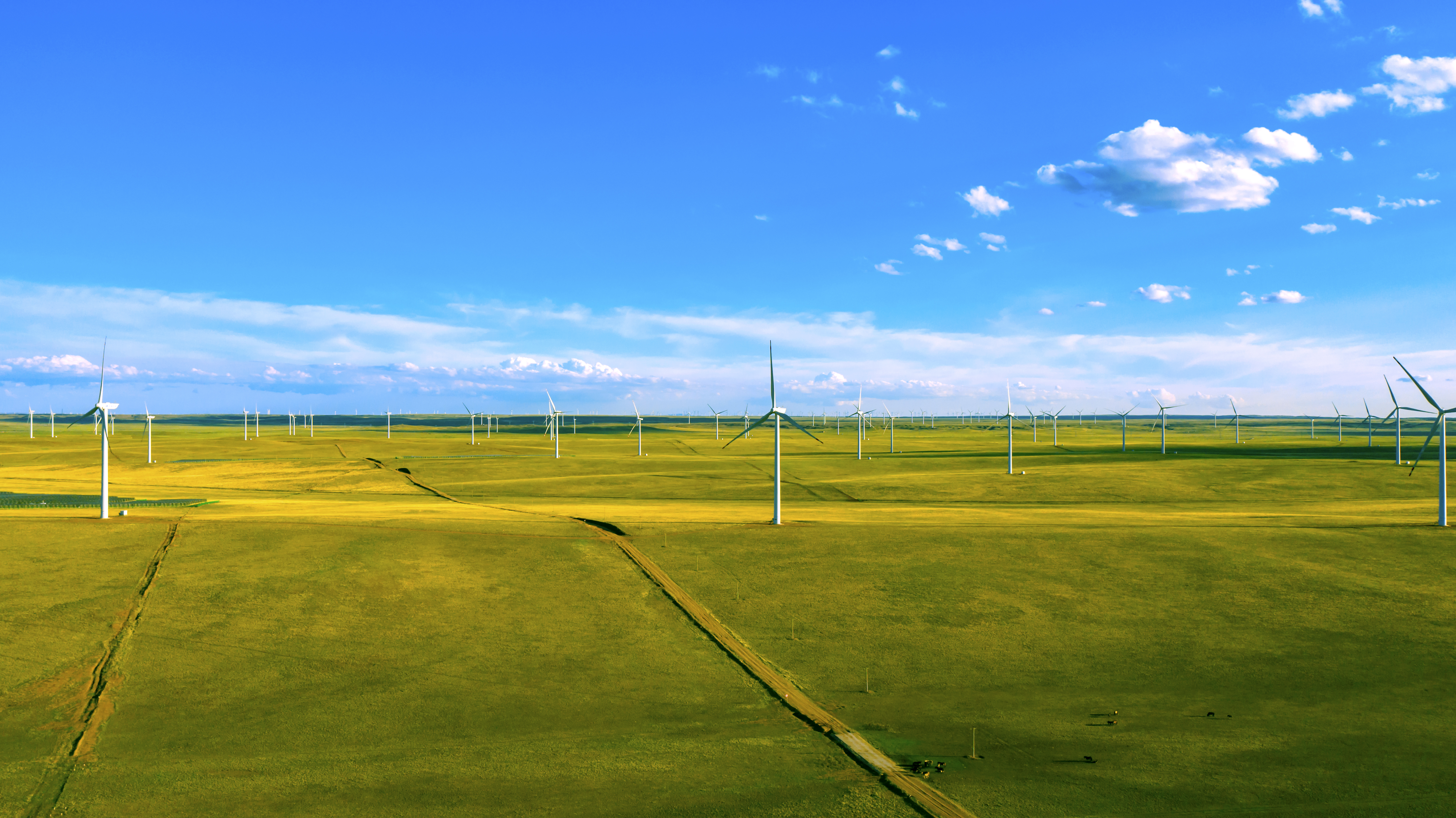 一图读懂 | 人生就是搏股份2023年环境、社会与公司治理（ESG）汇报